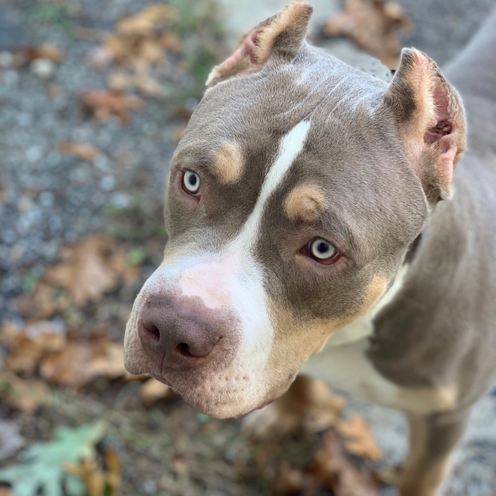 Meet your Posher, Rye